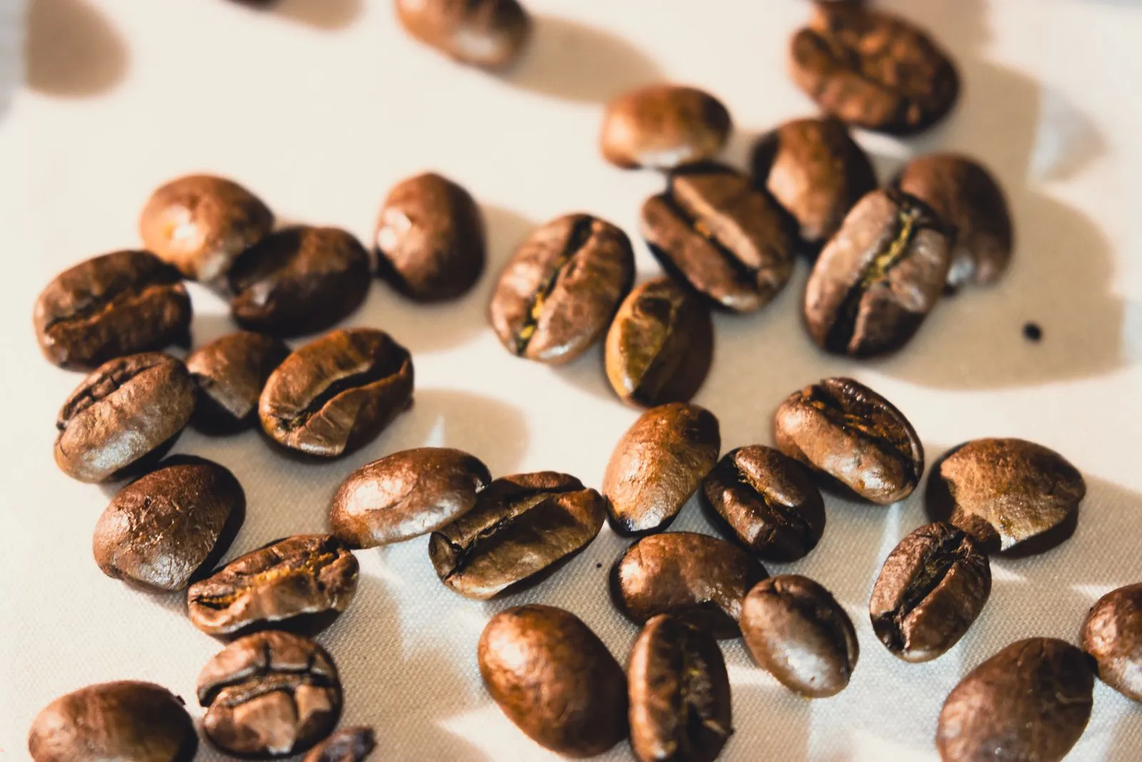 Coffee Subscription or One-Off Order: Which Fits?